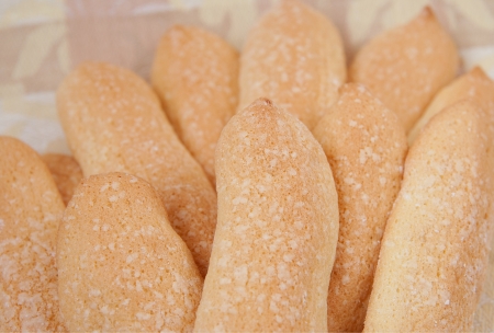 Sponge cakeの写真素材