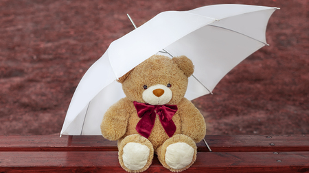 bear on the bench with an umbrella on autumn backgroundの写真素材