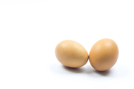 Two brown chicken egg isolated on whiteの写真素材