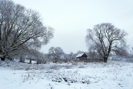 Winter landscape. The first snow in the village. Belarusの写真素材