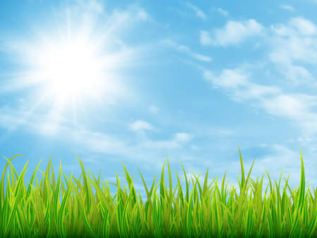 Green grass and blue sky with clouds. Nature summer background. Vector illustration EPS10のイラスト素材