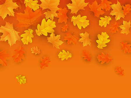 Autumn background with maple and oak leaves. Vector illustration EPS10のイラスト素材