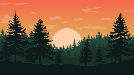 Pine forest silhouette. Sunset background. Vector illustration EPS10のイラスト素材