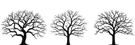 Set of black silhouettes of trees. Vector illustrationのイラスト素材