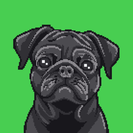 Pug dog portrait. Pixel art.のイラスト素材
