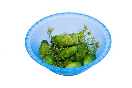 little green cucumbers and  dill in the plastic bowl isolated on whiteの写真素材