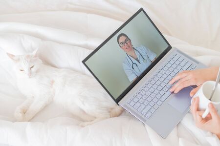 Unrecognizable girl watching a video with medical advice on a laptop. A woman conducts an online conversation with a doctor on a webcam. The cat lies in the legs of a cold owner.の写真素材