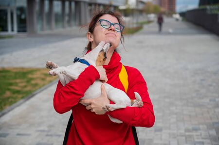 Clever puppy Jack Russell Terrier plays with the owner on the street. Thoroughbred shorthair dog...