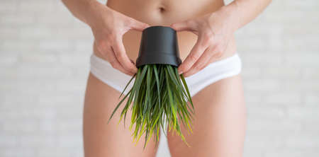 Bikini area depilation. Advertising Brazilian laser bikini line hair removal. A woman in white underwear is holding a potted plant. Epilation of vegetation in the intimate zone.の写真素材