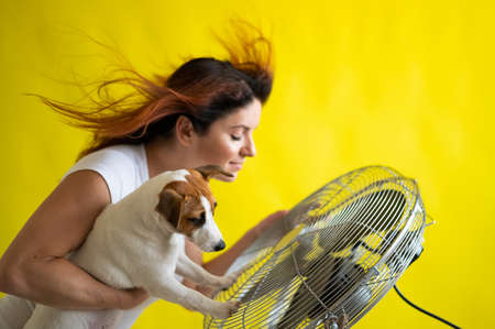 A large electric fan blows cold air onto a Caucasian woman and a dog. Girl with flying red hair...