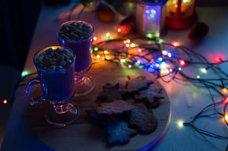 Composition for Christmas night. Cocoa and gingerbread for santa clausの写真素材