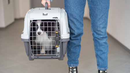 A woman is holding a travel cage with a dog inside. Holidays with a pet. Papillon dog butterfly.の写真素材