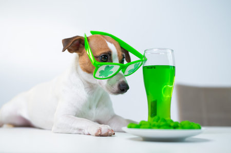 Dog with a mug of green beer and glazed nuts in funny glasses on a white background. Jack russell terrier celebrates st patrick's day.の写真素材