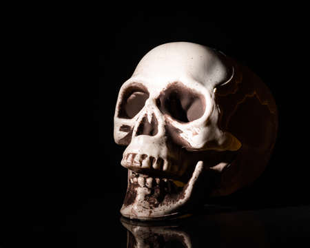 Artificial human skull on black background.の写真素材
