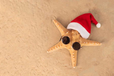 Starfish in sunglasses and a santa claus hat on the golden sand. Christmas concept at sea. Copy space.の写真素材