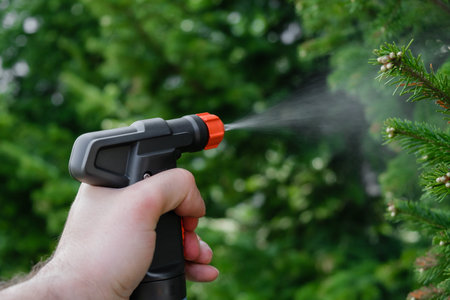 The gardener sprays the tree from.