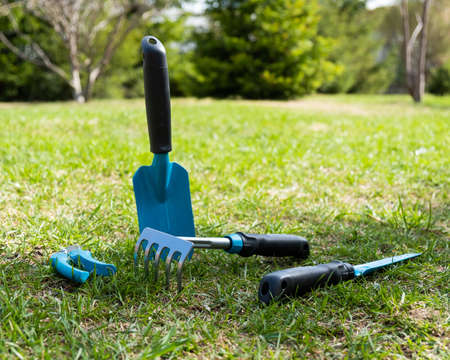 Gardening tools on the lawn.の写真素材