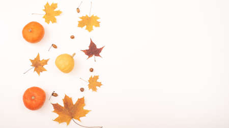 Autumn flat lay. Maple leaves, pumpkins and acorns on a white background. Copy space.