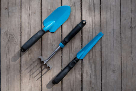 Small blue spatula, garden trowel and rake on the wooden floor. Gardeners tools