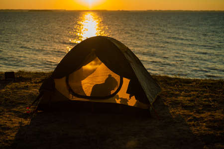 Woman and dog in a tourist tent at sunset. Camping with a pet