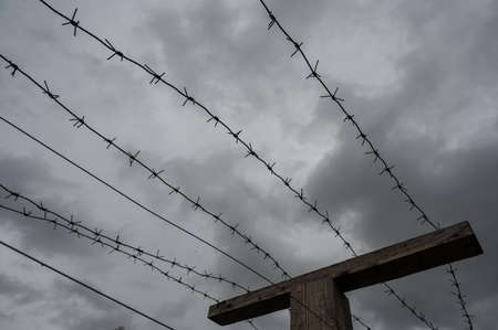 Close-up of barbed wire on gray clouds background.の写真素材