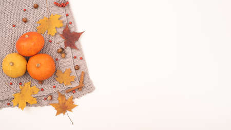 Autumn flat lay. Pumpkins and maple leaves viburnum and cinnamon and acorns on a gray plaid on a...