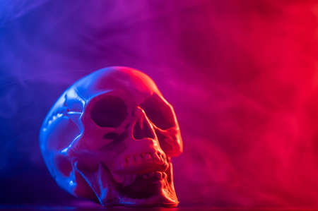Human skull in pink and blue smoke on a black background. Halloween.の写真素材