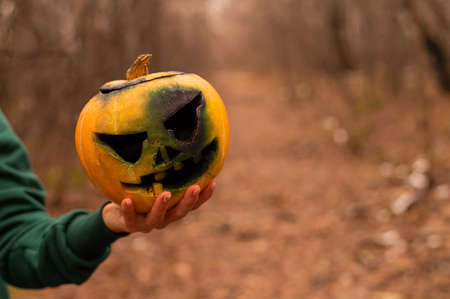 A witch holds a creepy pumpkin in a dense autumn forest. Jack o lantern for halloweenの写真素材