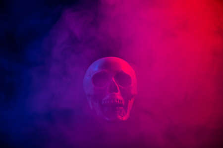 Human skull in pink and blue smoke on a black background. Halloween.