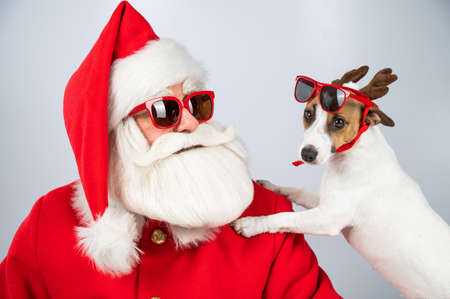 Santa claus and santas helper in sunglasses on a white background. Jack russell terrier dog in a deer costume.の写真素材