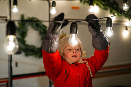 Caucasian swine decorate the camper for Christmas.の写真素材