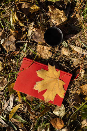 Thermos of hot tea red diary and yellow fallen maple leaf in autumn.の写真素材