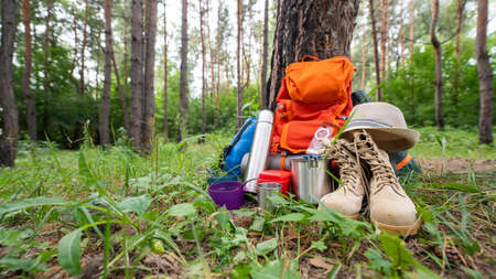 Hiking equipment in a pine forest. Backpack, sleeping bag, compass, hat and shoesの写真素材