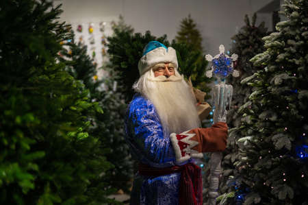 Russian Santa Claus in the store of artificial Christmas trees.の写真素材