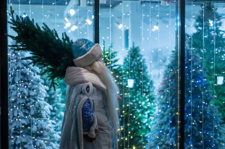 Russian santa claus delivering a Christmas tree from the store.の写真素材