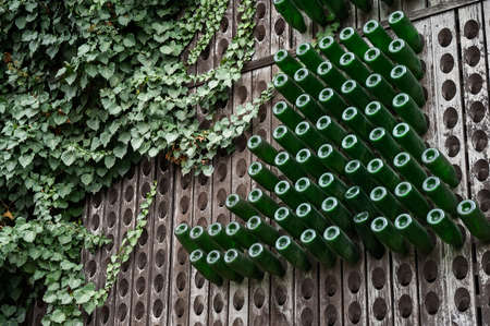 Bottles of wine are stored in wooden shelves with holes.の写真素材