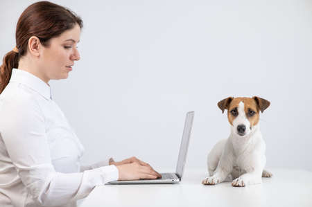 Caucasian woman working on laptop with jack russell terrier dog on table.