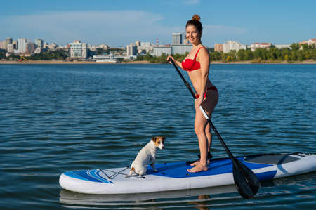 Dog jack russell terrier swims on the board with the owner. A woman and her pet spend time together...