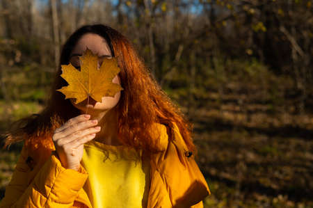 Red-haired Caucasian woman holding a fallen maple leaf. Autumn Walk.の写真素材