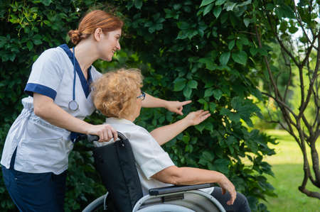 Caucasian female doctor walks with an elderly patient in a wheelchair in the park. Nurse accompanies...
