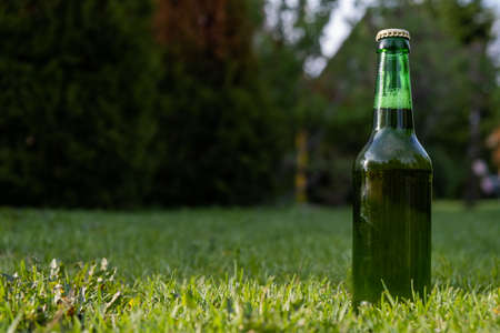 Green glass bottle of beer on the grassの写真素材