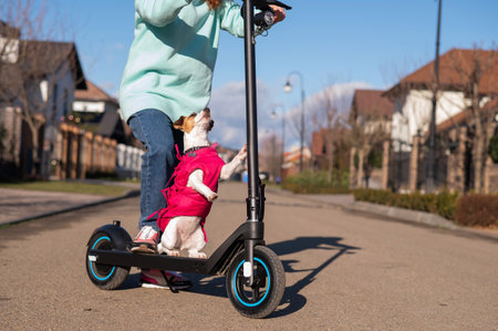 A woman rides an electric scooter in a cottage village with a dog Jack Russell Terrier.