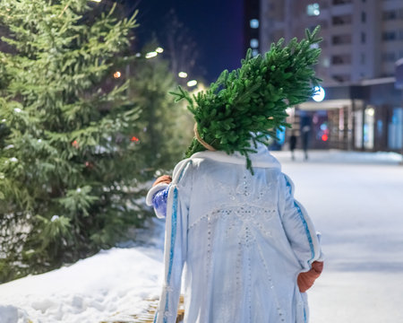 Russian santa claus carries a christmas tree outdoors.の写真素材