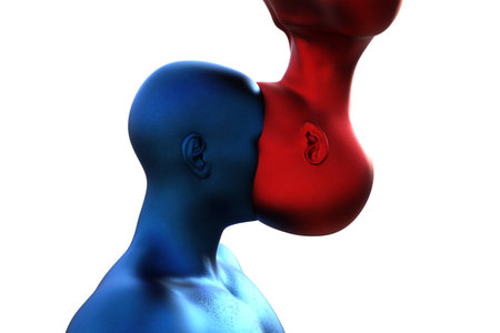 3d render. Merger of a male blue head and a red female head on a white background.の写真素材