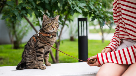 Young woman and tabby cat sitting on a bench outdoors.の写真素材