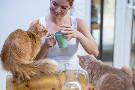 Caucasian woman with cats in a cat cafe.の写真素材
