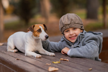 Jack Russell Terrier dog sits on a bench for a walk with a boy in an autumn park.の写真素材