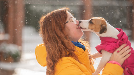 Caucasian woman hugging with dog while walking in winter. Jack Russell Terrier in a warm pink jacket.の写真素材