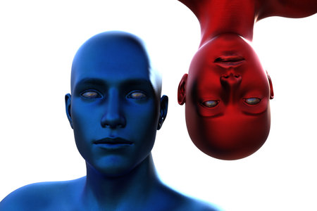 3d render. Portrait of a blue bald man upside down and a red bald woman on a white background.の写真素材
