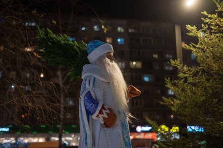 Russian santa claus carries a christmas tree outdoors.の写真素材